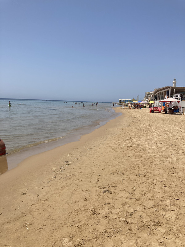 36DD9E1E-E7CD-428A-A5E8-8257C6669FDF