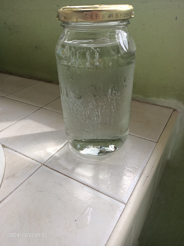 IMG20241122095749.jpg