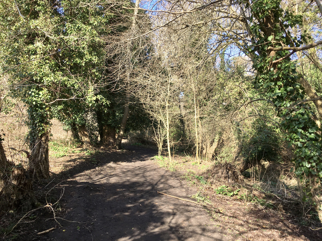 317FE4A7-6376-4D4A-9951-67762110037F