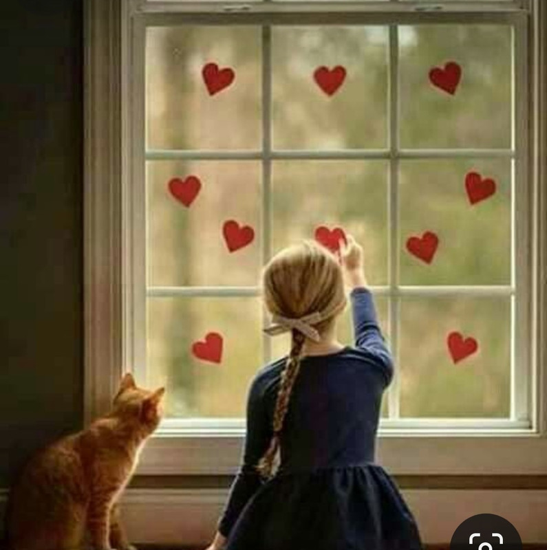 Screenshot_20240214_172610_Pinterest