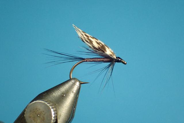 96C587C8-3CC7-417B-BF0F-D93FCD7FA2FD