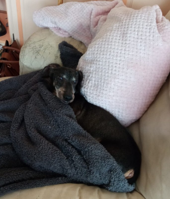 [Image: 20240305-184732.jpg]