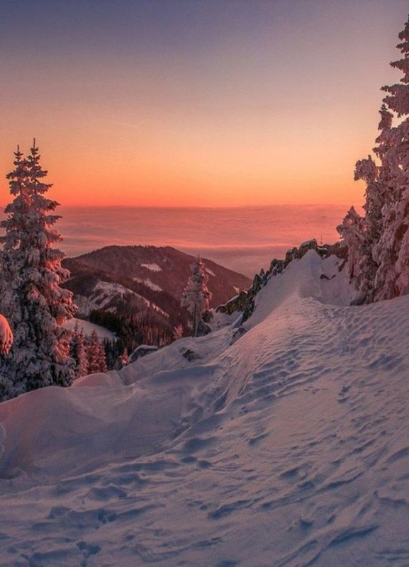 Screenshot_20230831_231737_Pinterest