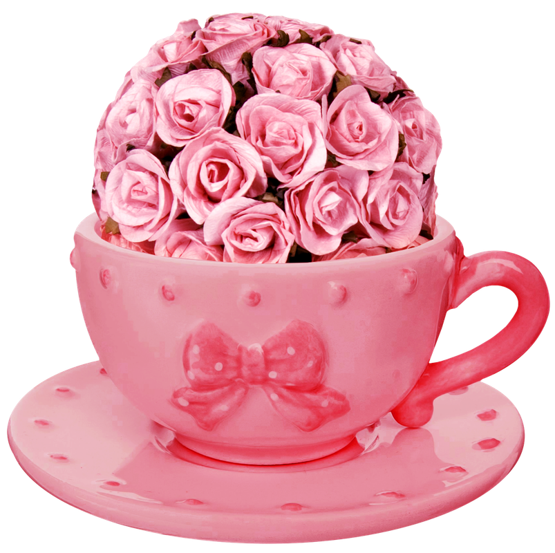 BIBI-PINK ANGEL ELEMS (51)