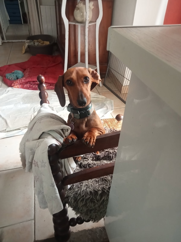 [Image: 1757868118932.jpg]