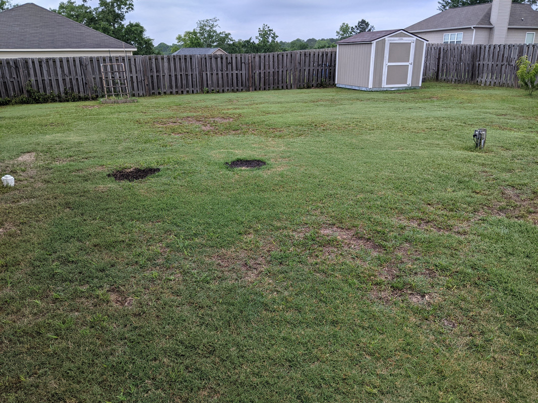 PXL_20210511_111842718