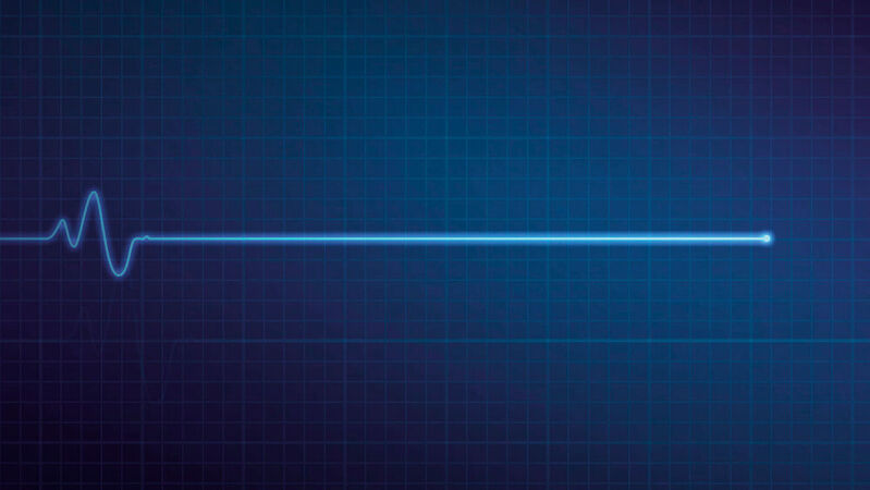 0115949090.jpg