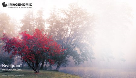 "Imagenomic Realgrain for PS 2.1.3 Build 2130 macOS