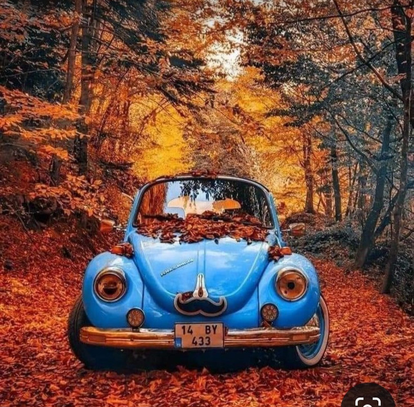 Screenshot_20231201_000911_Pinterest