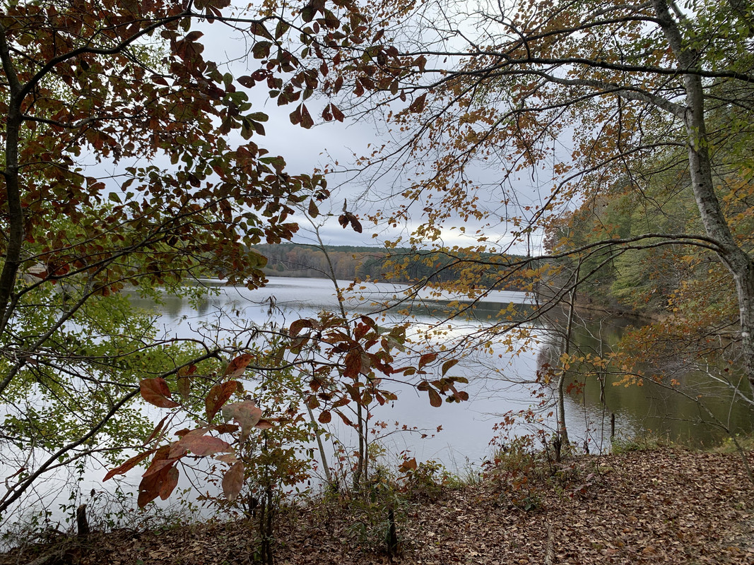 91FD6717-2E9F-4CF0-A2E4-D29EE6A6BE9B