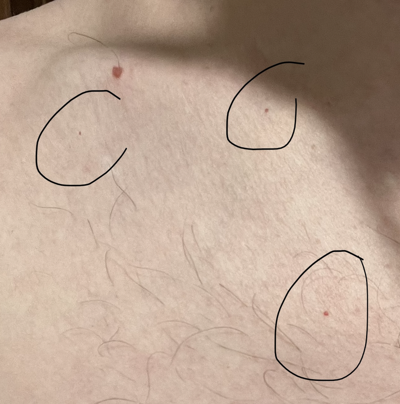 Screen Shot 2022-09-05 at 11.07.59