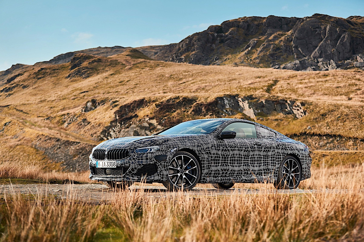 BMW 8 Series Coupe (12)