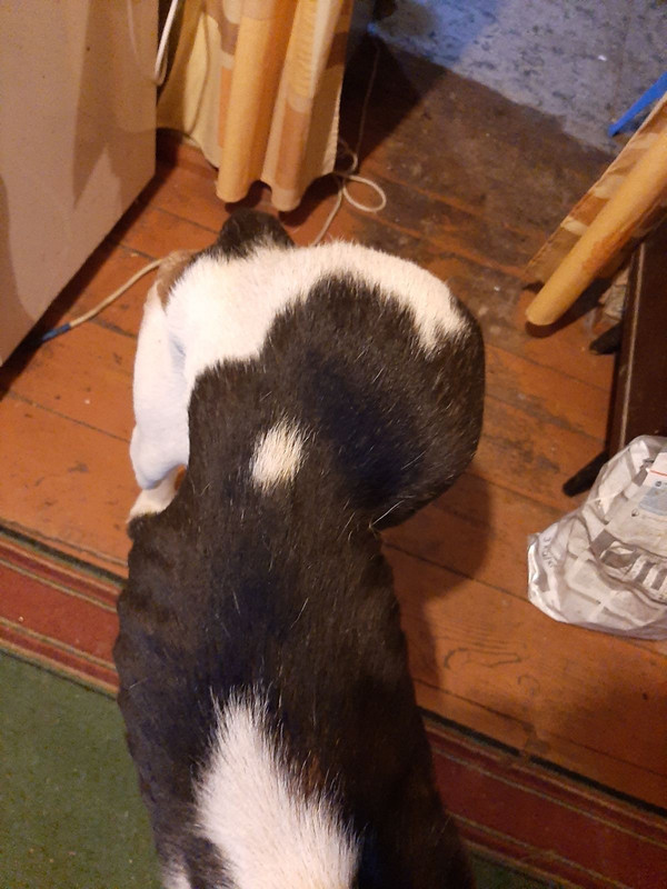 777814C7-43E5-4AF3-8EC3-864290671410