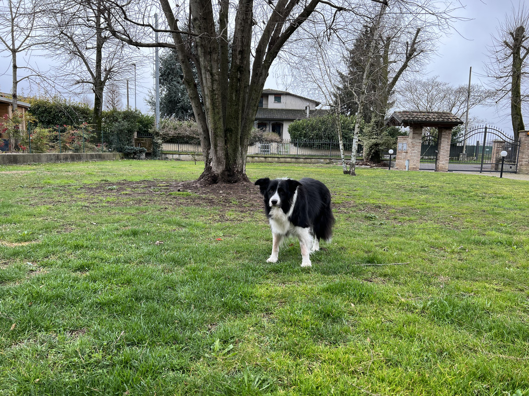 86C025B1-CC02-428B-A5AC-935B4AEBFDBF