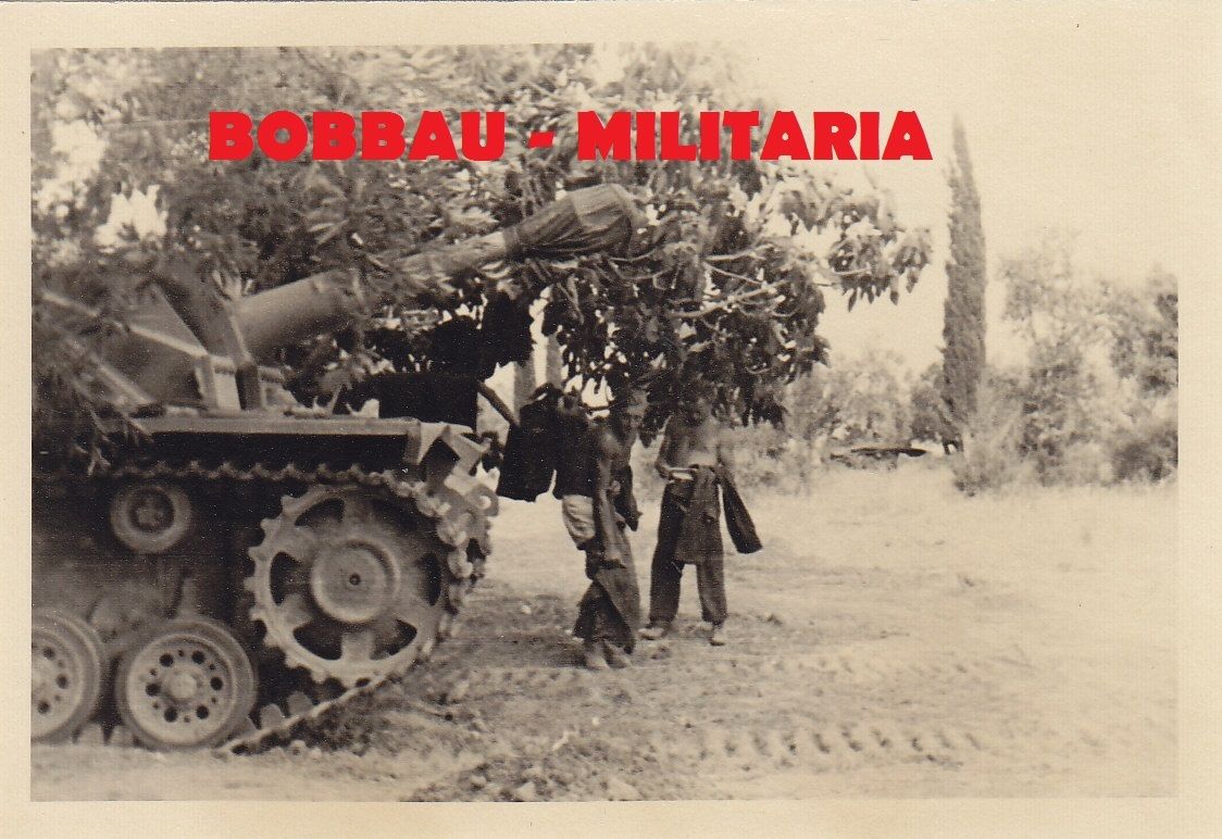 Sturmgeschütz-Brigade 201 STUG III Langrohr Grie