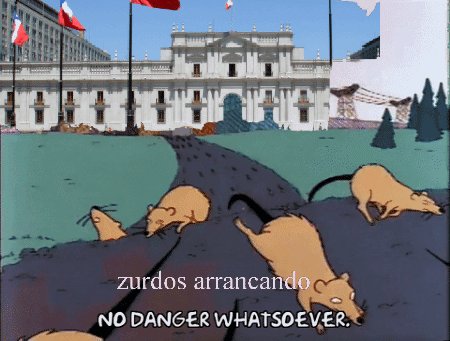 videotogif-2023-08-20-01-28-13.gif