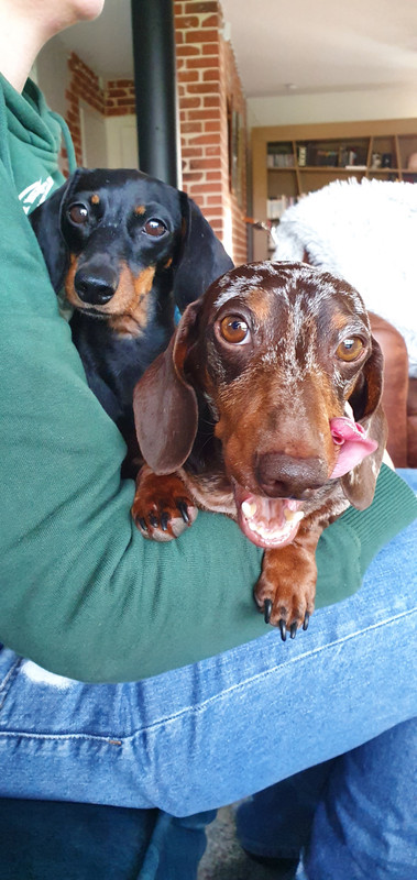 [Image: 20220206-152233.jpg]