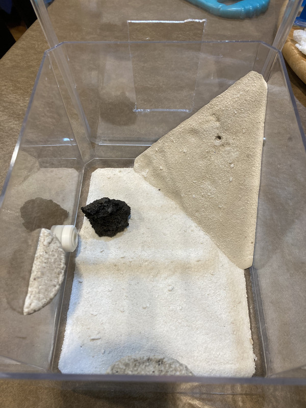 6FD8D0BB-F460-4EC3-AFAC-C0CEE0A9CC93