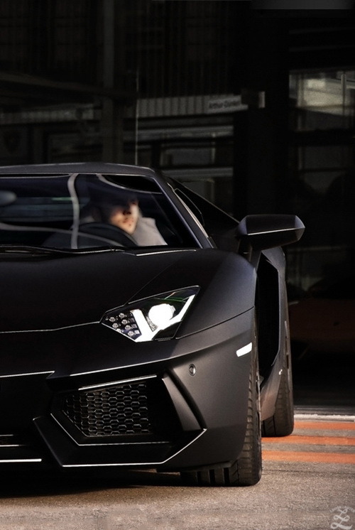 ���� ���� ������ �� ���� ������