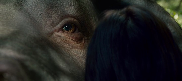 vlcsnap-2017-07-10-18h11m36s634