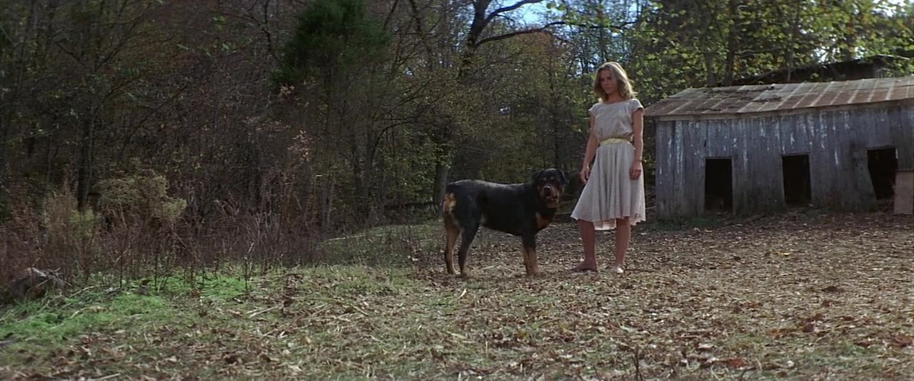 I-Walk-The-Line-1970-720p-Blu-Ray-YTS-MX