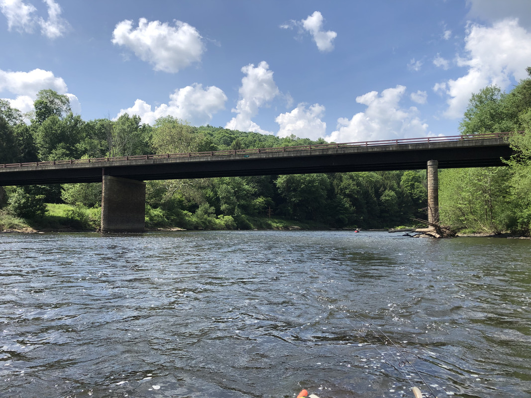 D8FA61CA-0295-4FF3-98D0-3BD7FBC42D62