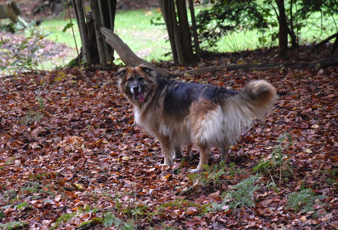 DSC_0039AMB 23-10-22