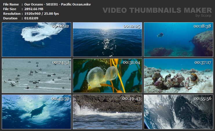 Our Oceans - S01E01 - Pacific Ocean.mkv