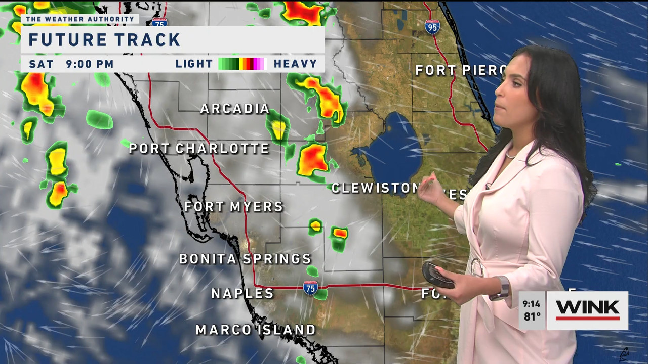 WINK News at 9 00 a.m. 2022_07_23_14_00_00.ts_snapshot_00.16.41.561
