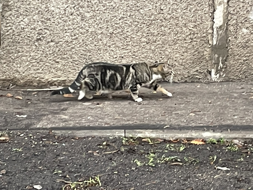 16BCF1DB-5E65-4E22-96F4-98541810B5B1