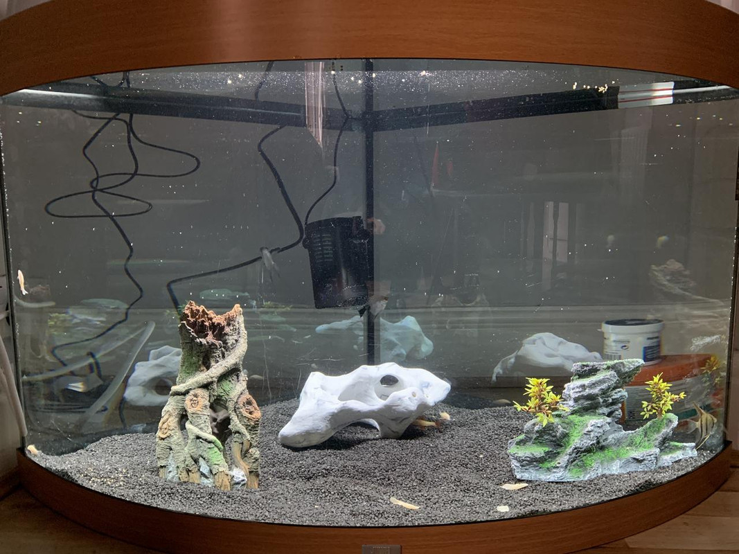 08F5FE7D-C080-4EB3-9F8E-A9F952A70C91