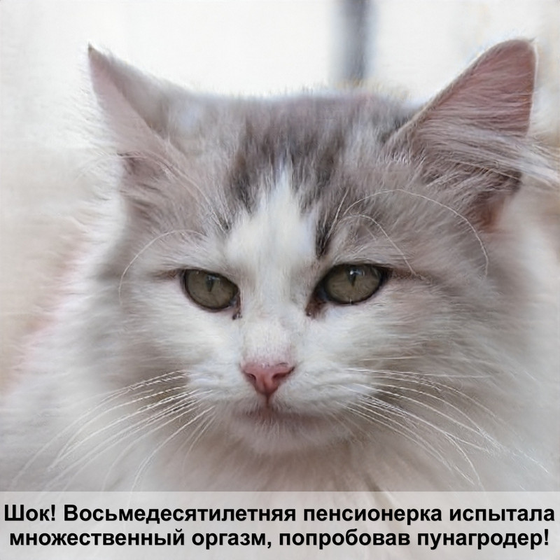 кошка похожая на рысь