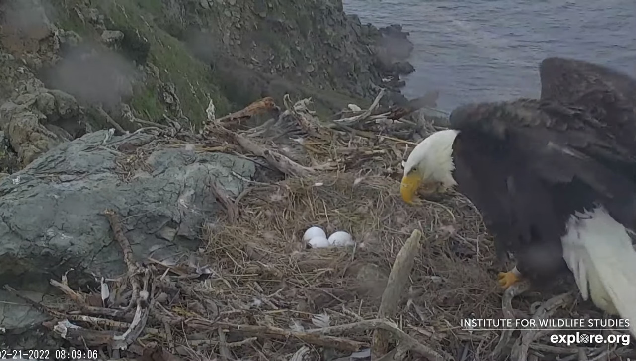 215852C7-3B8E-4A8A-8AC4-AB9FBEC9B036