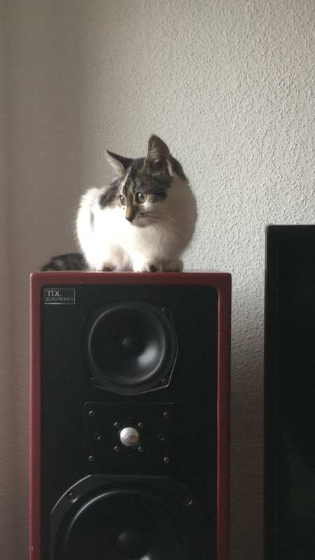 [Bild: Hi-Fi-Frida.jpg]