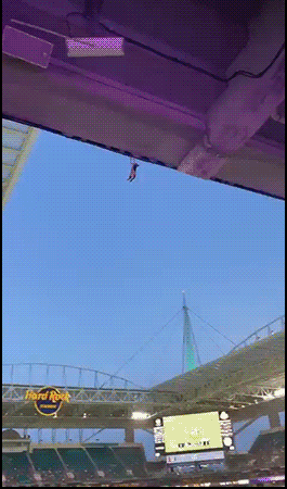Scary-Cat-GIF-CATastrophe-averted-as-fans-catch-falling-cat-using-flag-at-American-football-game.gif