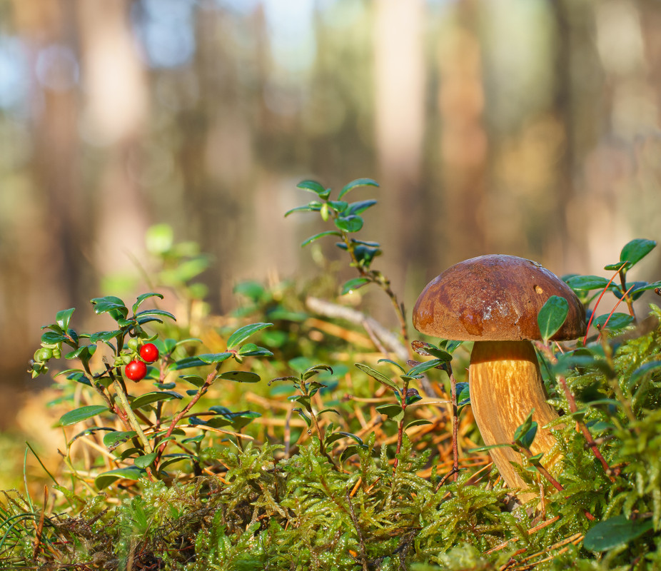 2024-11-06 12-44-11 (B,R8,S4)-Editx-2