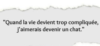 citation-chat.jpg