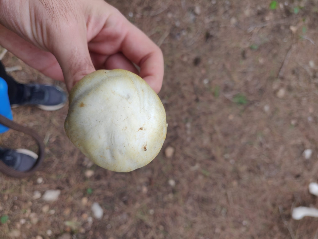 WhatsApp Image 2022-12-15 at 13.50.52 (2)