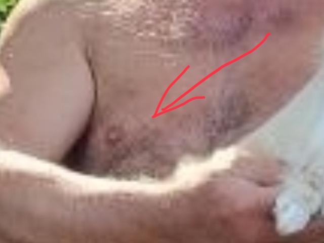 [Image: IMG-3693.jpg]