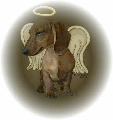 [Image: IMG-0530.jpg]