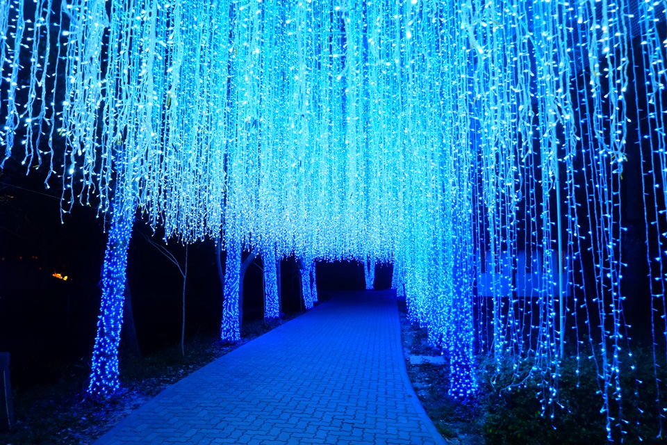DSCF0193