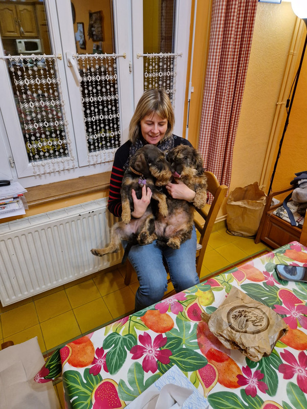 [Image: IMG-20240308-WA0004.jpg]