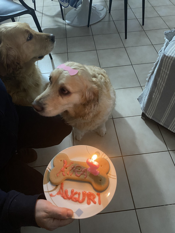 FA4C471E-0C22-401E-AF12-B58B98343244