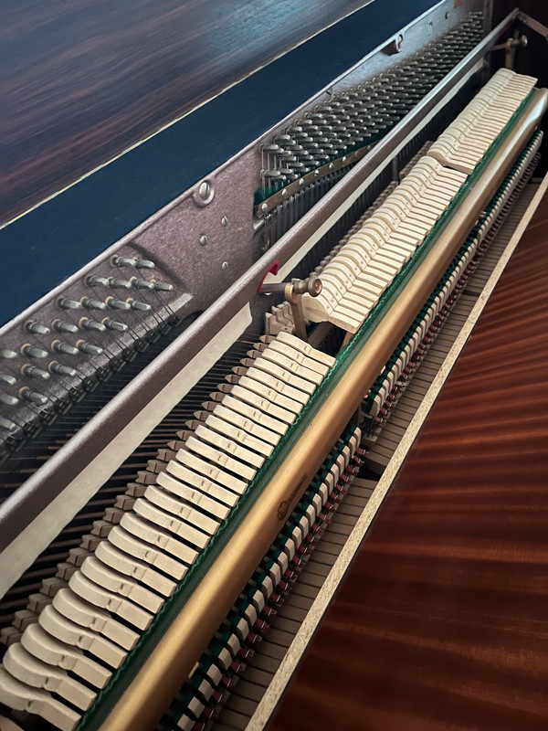 54c06b7e-60b8-11ef-98a4-9140e8917b7e