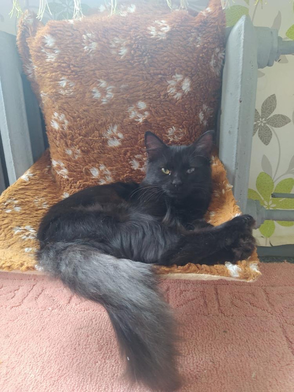 D33C5556-E90A-4B67-9E7D-EF8B0CF412FC