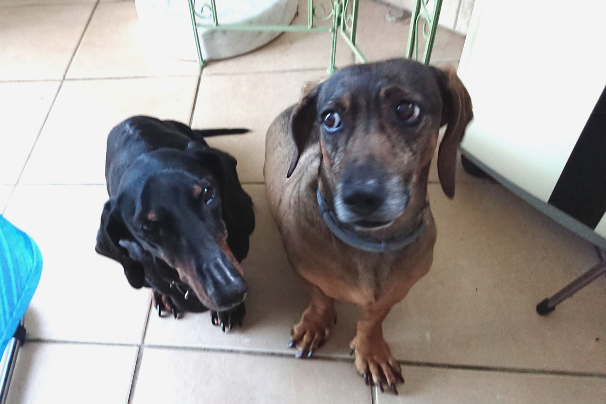 [Image: DSC-1746.jpg]