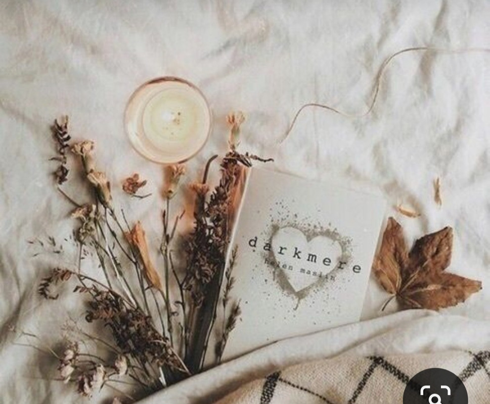 Screenshot_20230913_180717_Pinterest