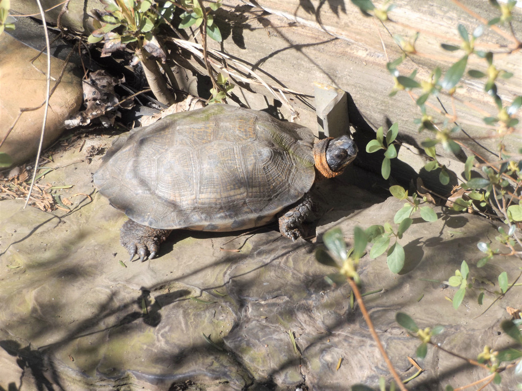 DSCF8715-2.jpg