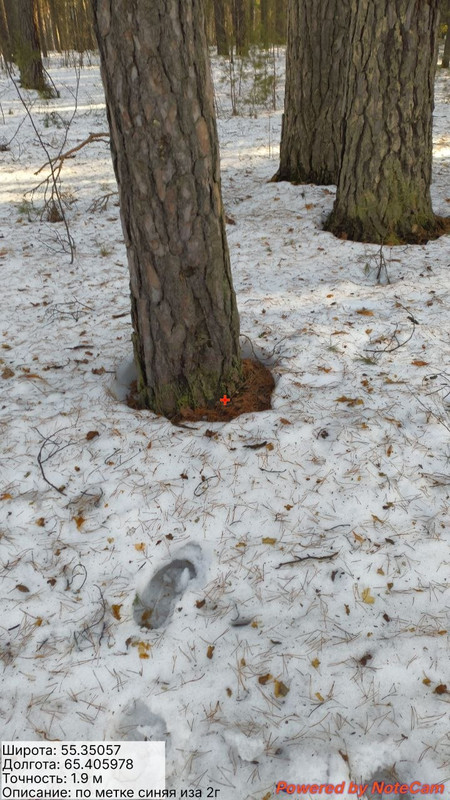 photo 16 2026 03 27 02 32 01