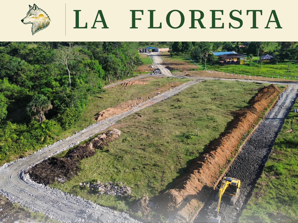 Vías de acceso del proyecto